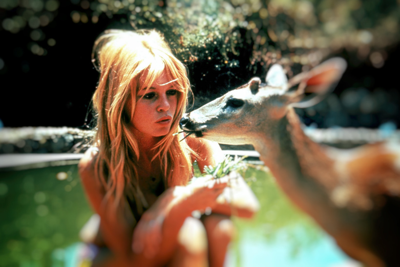 Brigitte Bardot et notre passion commune, les animaux