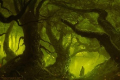 HELENE DELCROIX VOYANCE 07 HELENE DELCROIX VOYANCE 07