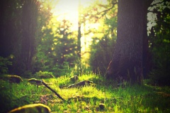 HELENE DELCROIX VOYANCE 21 HELENE DELCROIX VOYANCE 21