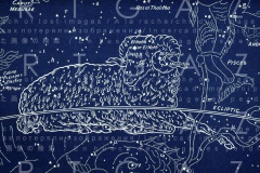 HELENE DELCROIX VOYANCE 009 HELENE DELCROIX VOYANCE 009