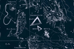 HELENE-DELCROIX-VOYANCE-023 HELENE-DELCROIX-VOYANCE-023